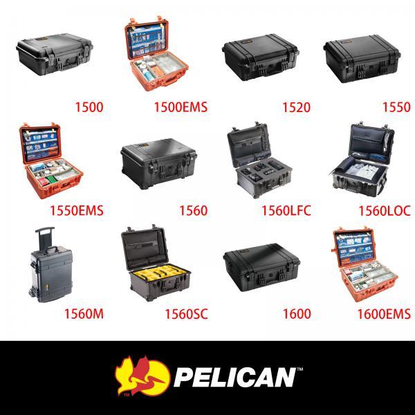 #1500 - #1600 Pelican Protector Case