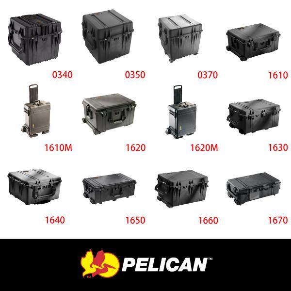 #1610 - #0370 Pelican Protector Case