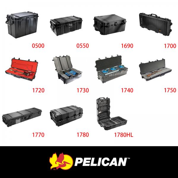 #1700 - #0550 Pelican Protector Case